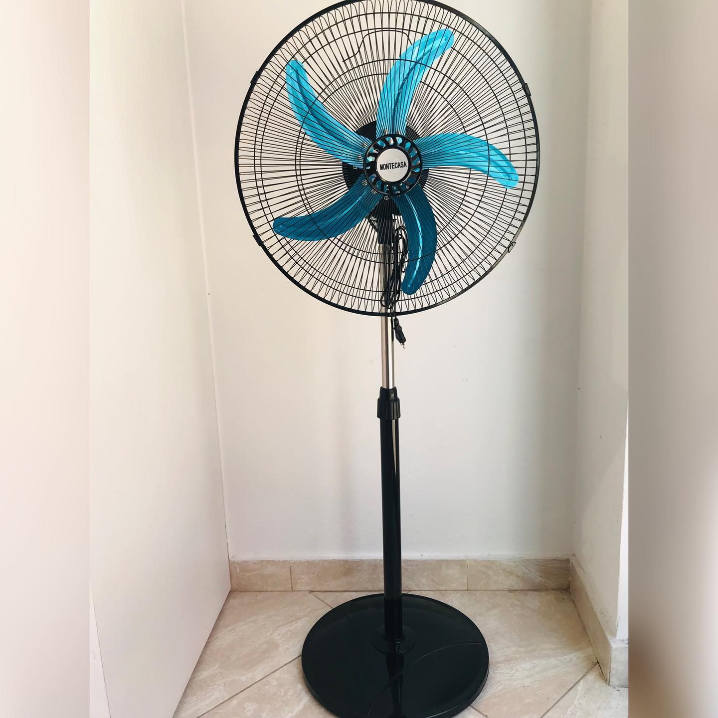 288752509_1808276616186058_7870367463426014201_n (2)